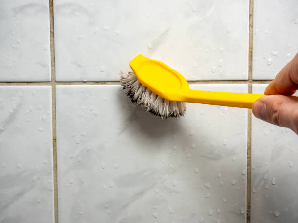 Best Affordable Mold Removal  in Ten Mile Creek, MD