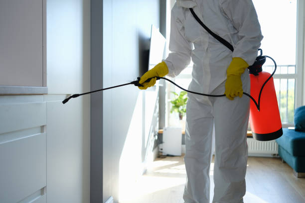 Best Attic Mold Removal  in Ten Mile Creek, MD