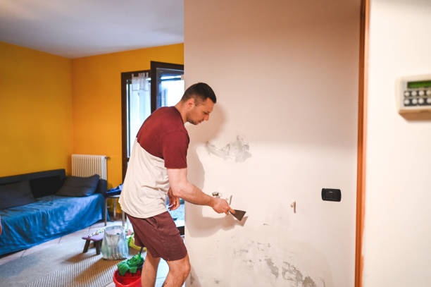 Best Fast Mold Removal  in Ten Mile Creek, MD